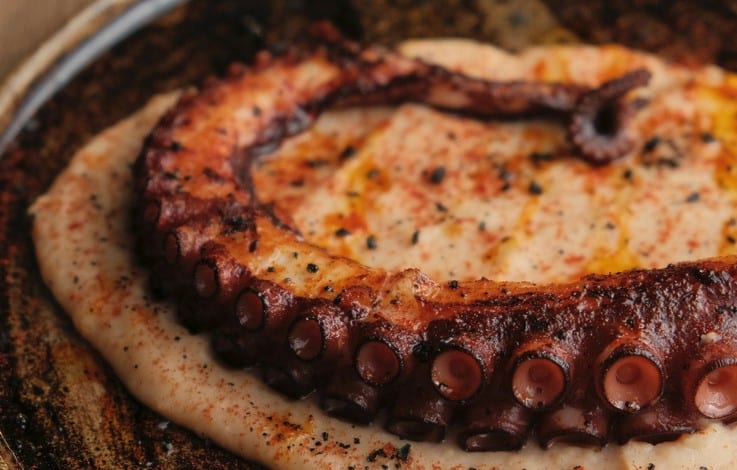 pulpo con puré de patatas